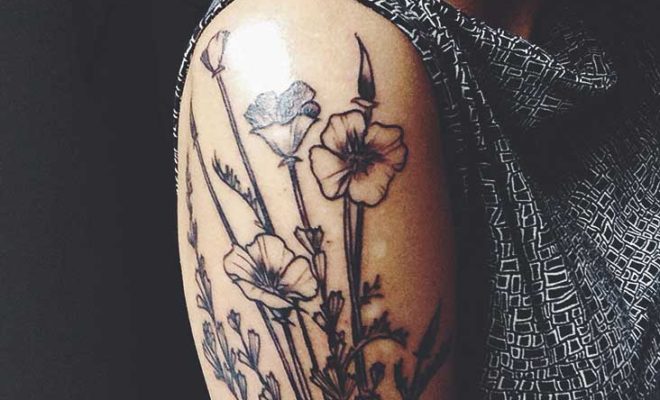 tattoo healing cream