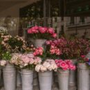 Window Flower Boxes for Great Home Improvement